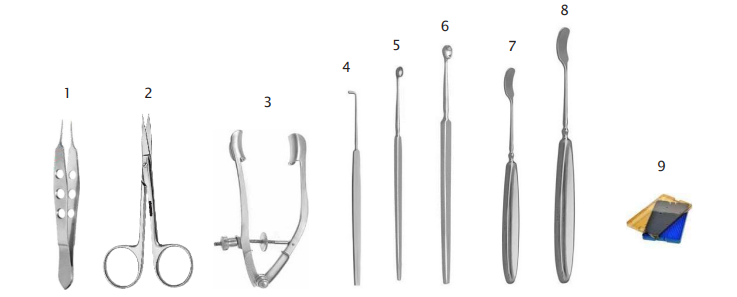 Microsurgery Evisceration Set